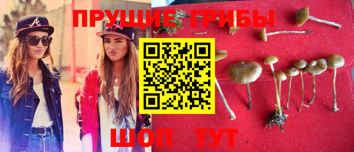Рузаевка  Галлюциногенные грибы Psilocybe  Псилоцибиновые грибы мицелий  Вход с VPN 